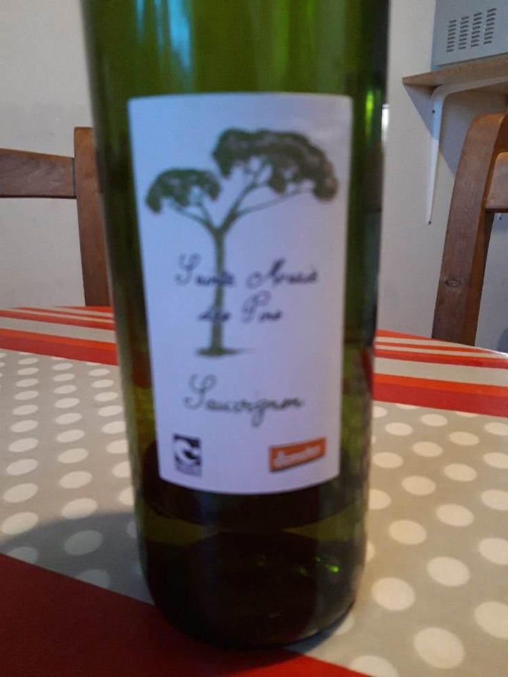 Sainte Marie Les Pins Sauvignon - Sainte Marie Les Pins - Marie Et Henri Gayzard 