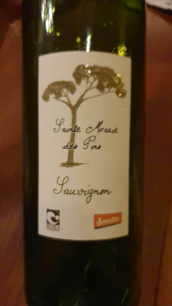 Sainte Marie Les Pins Sauvignon - Sainte Marie Les Pins - Marie Et Henri Gayzard 