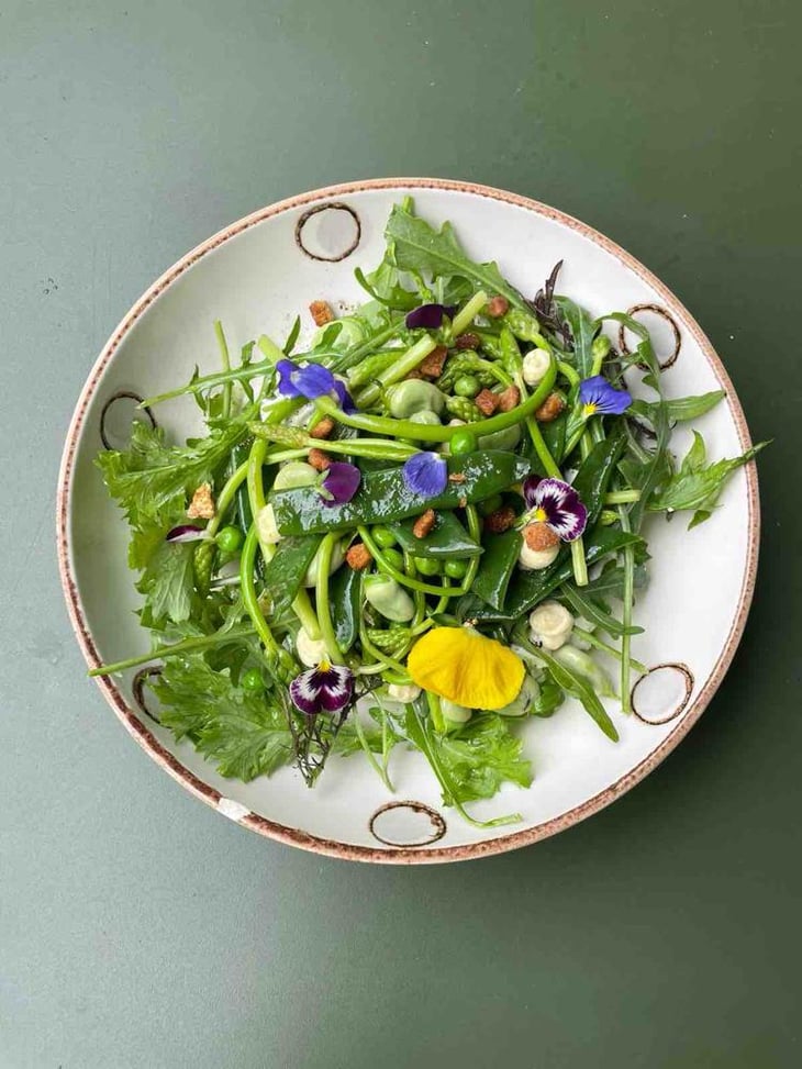 Salade Printanière - Crapule - 772327