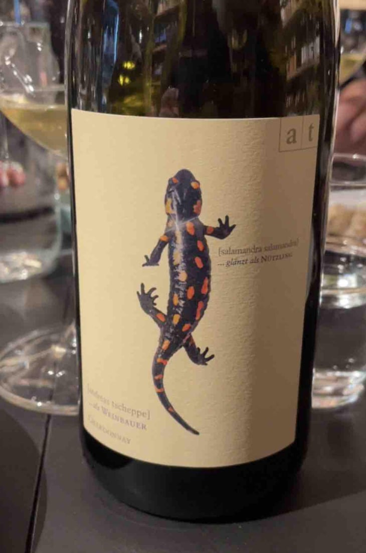 Salamander - Morillon - Weingut Andreas & Elisabeth Tscheppe - Andreas & Elisabeth Tscheppe 