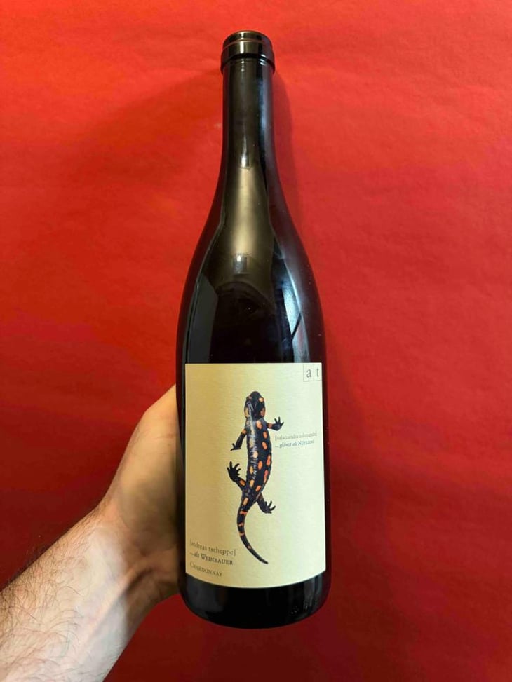 Salamander - Morillon - Weingut Andreas & Elisabeth Tscheppe - Andreas & Elisabeth Tscheppe 