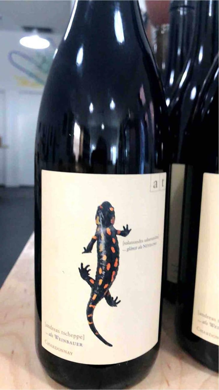 Salamander - Morillon - Weingut Andreas & Elisabeth Tscheppe - Andreas & Elisabeth Tscheppe 