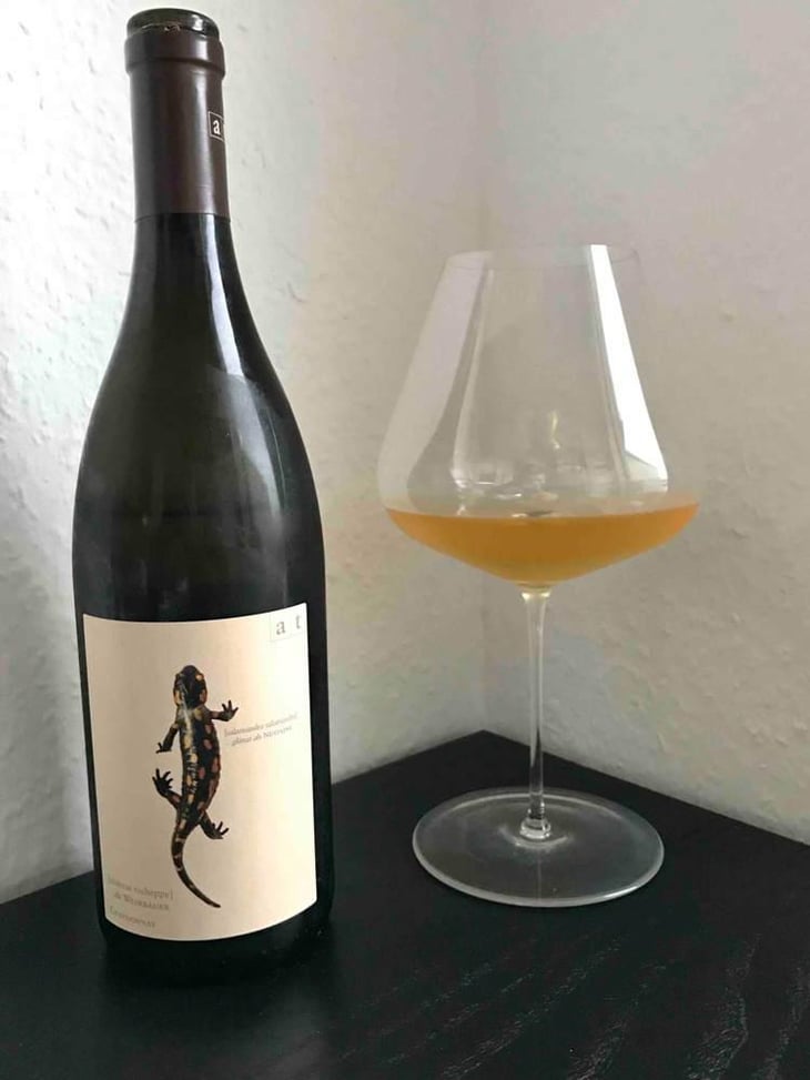 Salamander - Morillon - Weingut Andreas & Elisabeth Tscheppe - Andreas & Elisabeth Tscheppe 