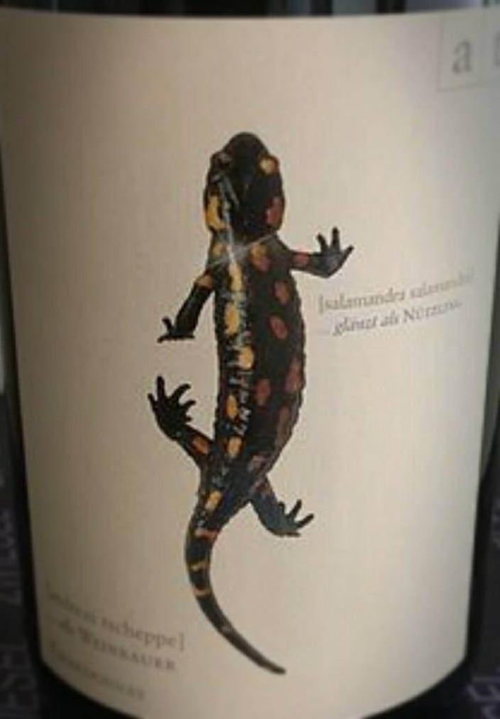 Salamander - Morillon - Weingut Andreas & Elisabeth Tscheppe - Andreas & Elisabeth Tscheppe 