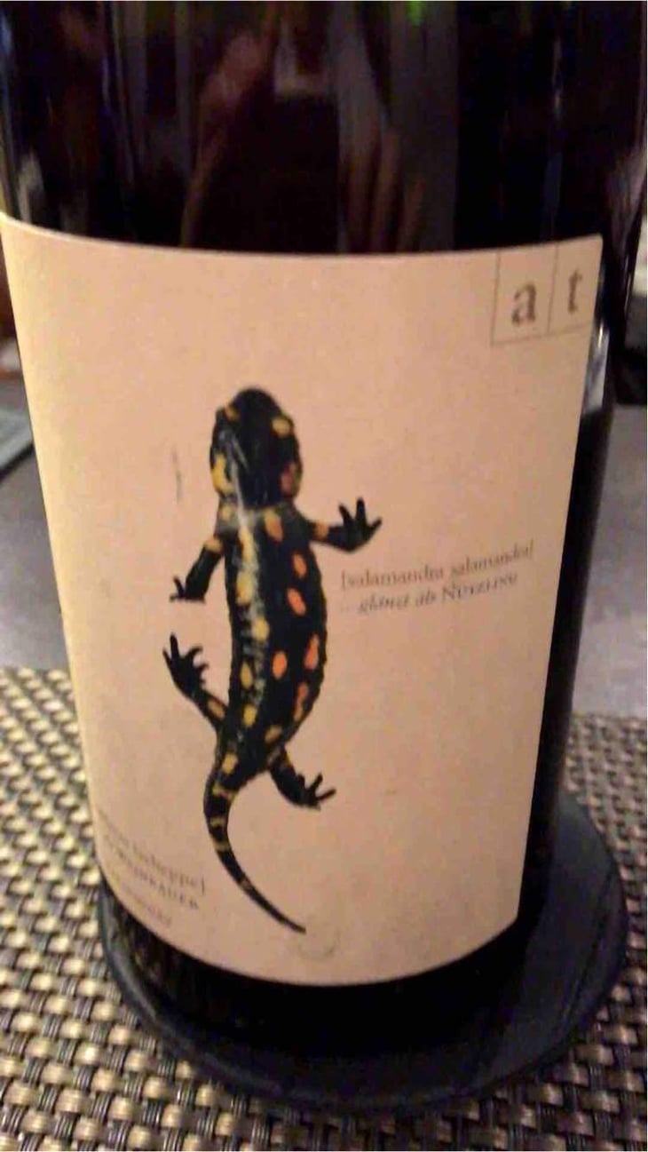 Salamander - Morillon - Weingut Andreas & Elisabeth Tscheppe - Andreas & Elisabeth Tscheppe 