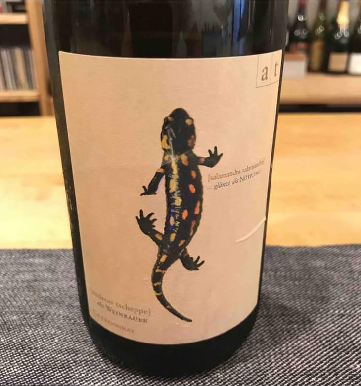 Salamander - Morillon - Weingut Andreas & Elisabeth Tscheppe - Andreas & Elisabeth Tscheppe 