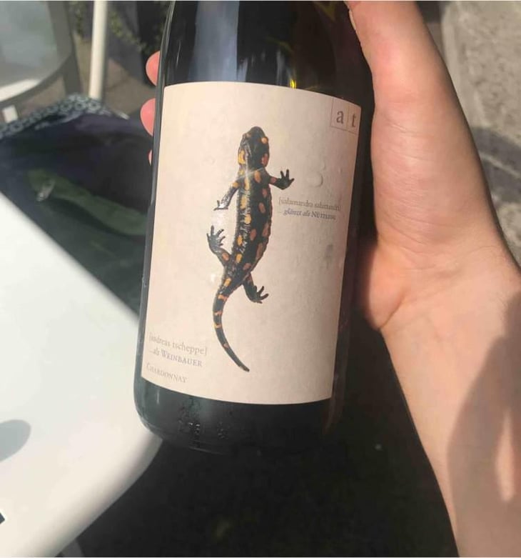 Salamander - Morillon - Weingut Andreas & Elisabeth Tscheppe - Andreas & Elisabeth Tscheppe 