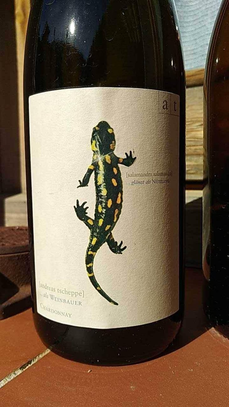 Salamander - Morillon - Weingut Andreas & Elisabeth Tscheppe - Andreas & Elisabeth Tscheppe 