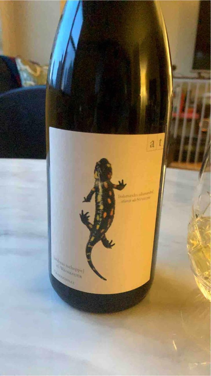 Salamander - Morillon - Weingut Andreas & Elisabeth Tscheppe - Andreas & Elisabeth Tscheppe 