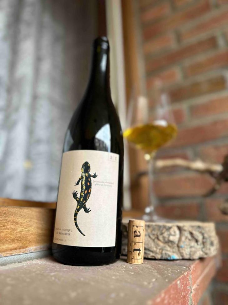 Salamander - Morillon - Weingut Andreas & Elisabeth Tscheppe - Andreas & Elisabeth Tscheppe 