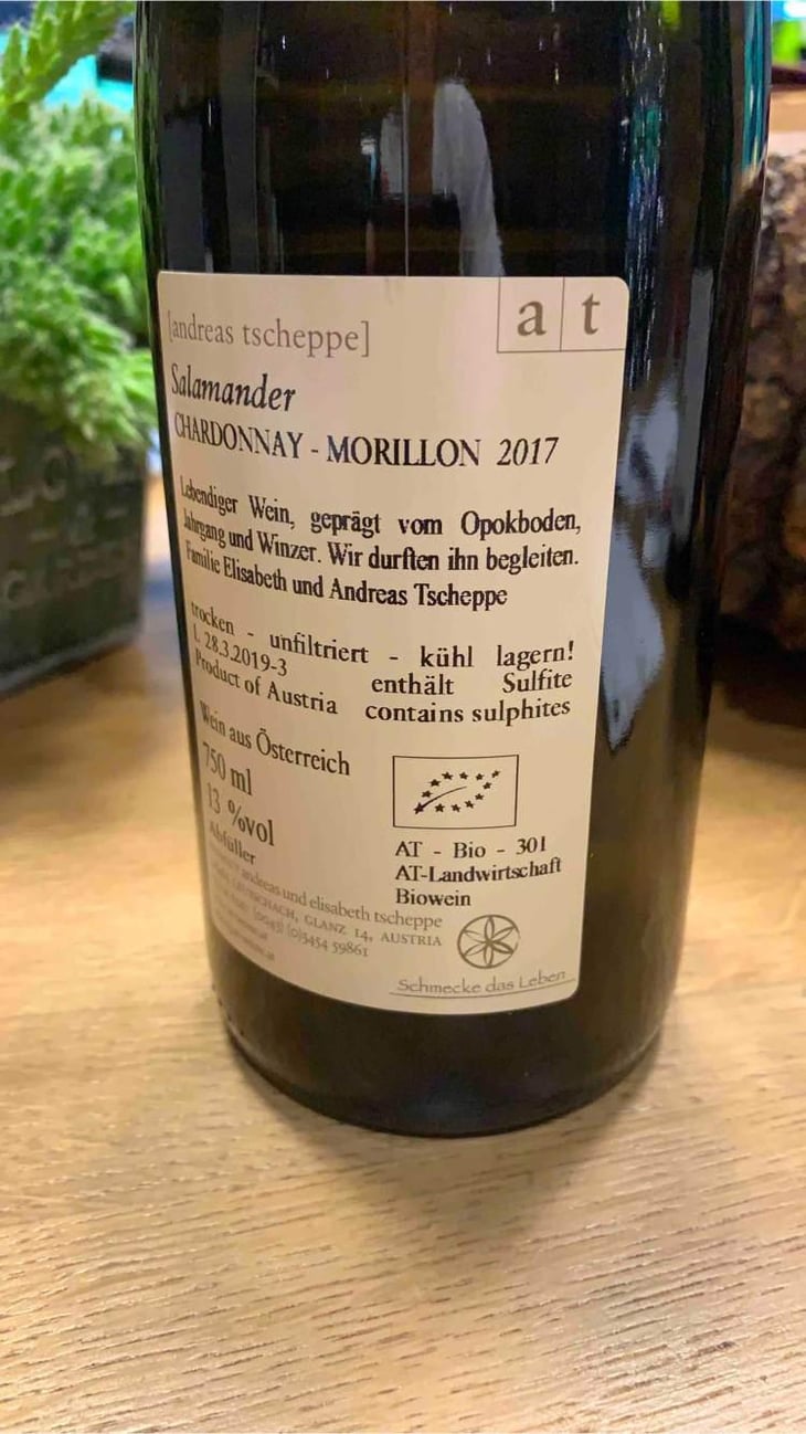 Salamander - Morillon - Weingut Andreas & Elisabeth Tscheppe - Andreas & Elisabeth Tscheppe 