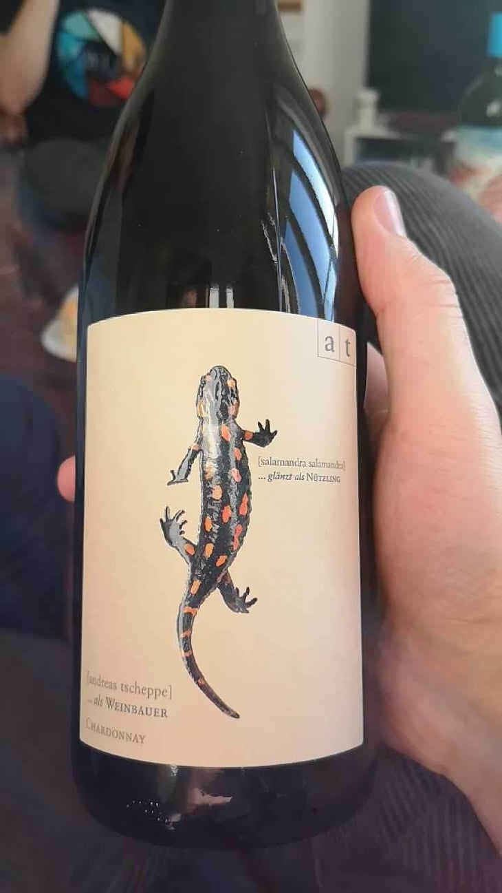 Salamander - Morillon - Weingut Andreas & Elisabeth Tscheppe - Andreas & Elisabeth Tscheppe 