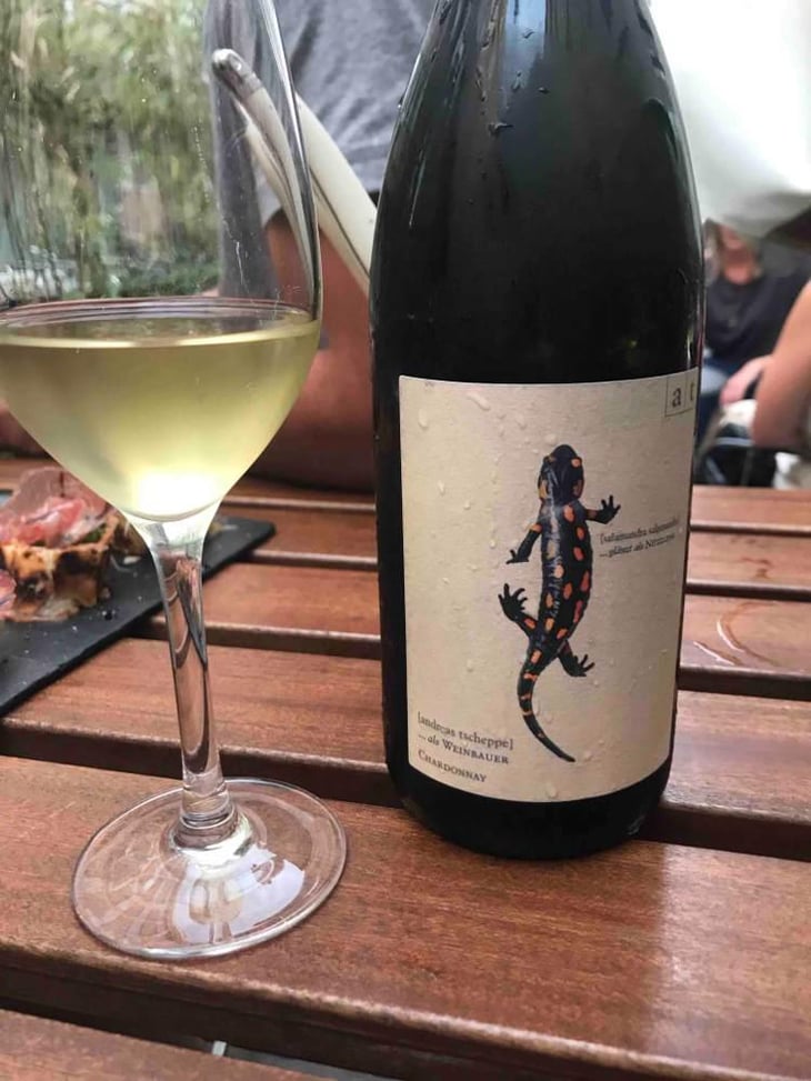 Salamander - Morillon - Weingut Andreas & Elisabeth Tscheppe - Andreas & Elisabeth Tscheppe 