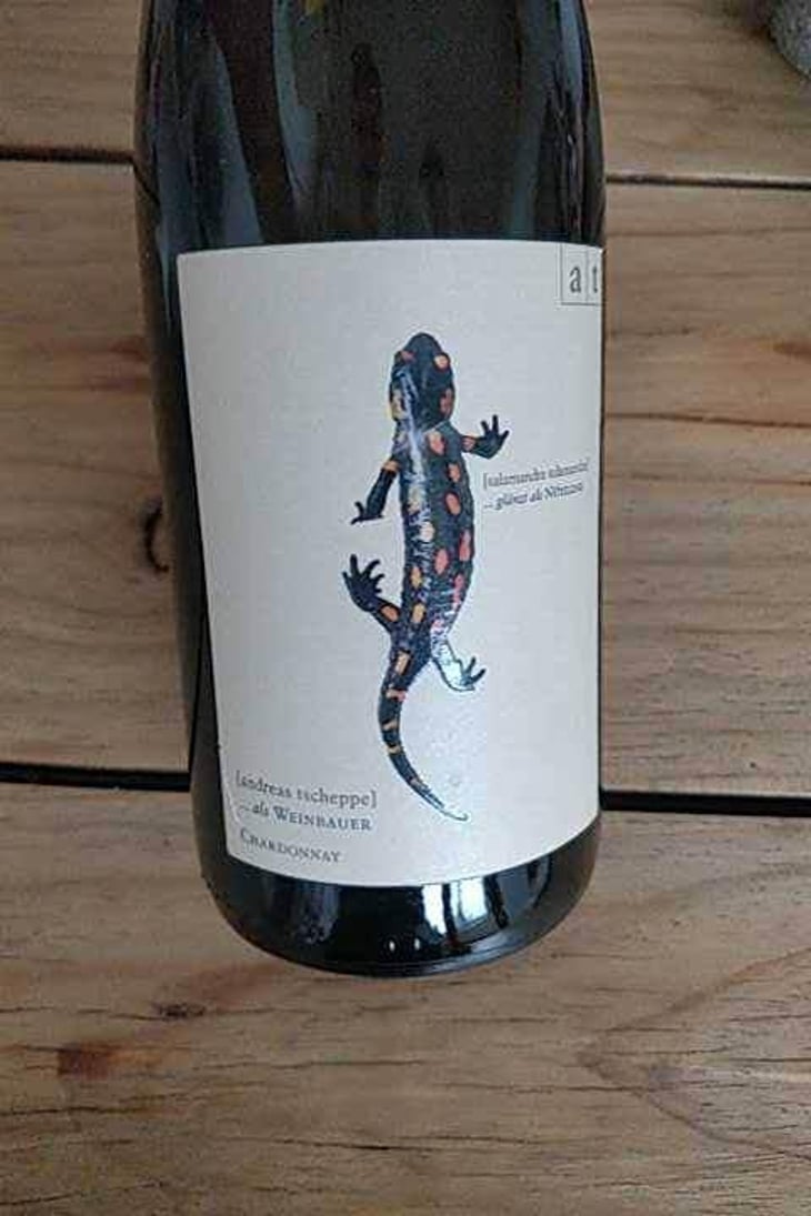 Salamander - Morillon - Weingut Andreas & Elisabeth Tscheppe - Andreas & Elisabeth Tscheppe 