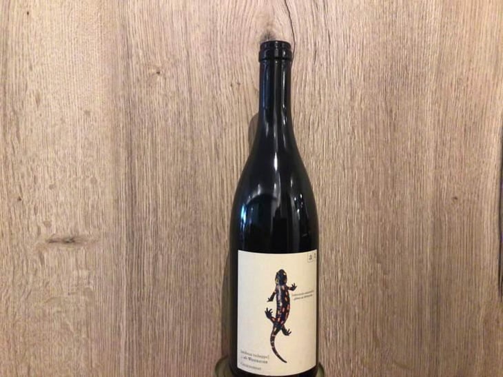 Salamander - Morillon - Weingut Andreas & Elisabeth Tscheppe - Andreas & Elisabeth Tscheppe 