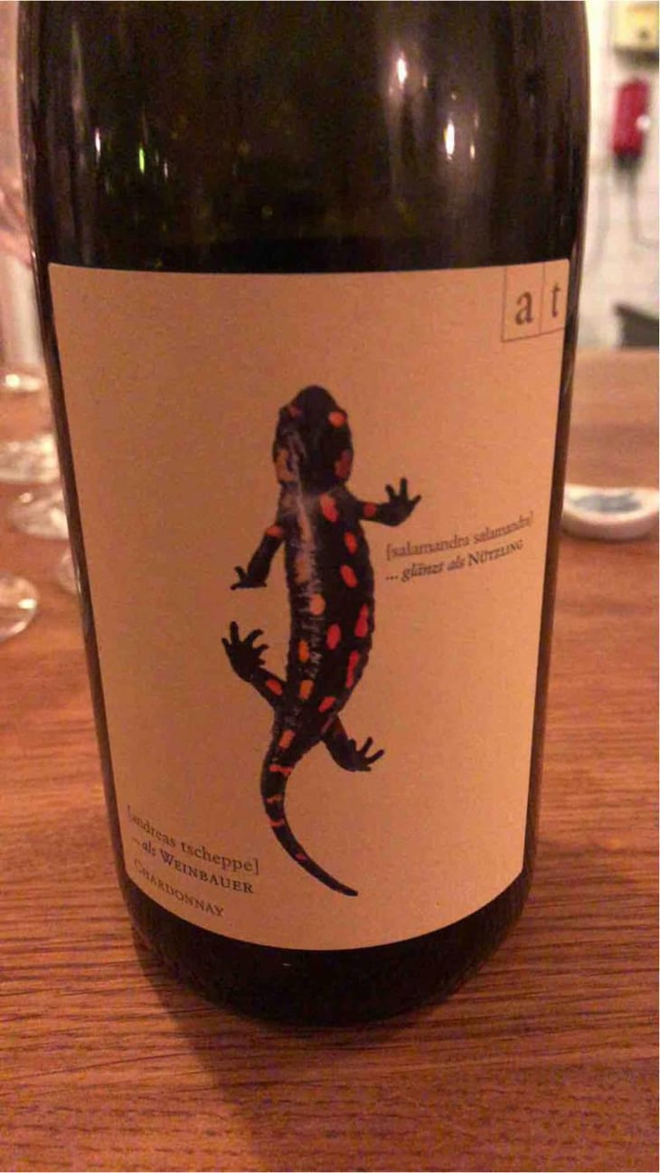 Salamander - Morillon - Weingut Andreas & Elisabeth Tscheppe - Andreas & Elisabeth Tscheppe 