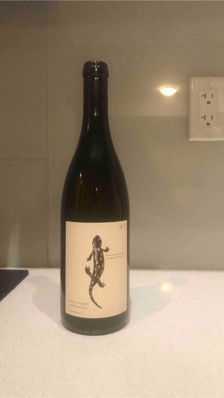 Salamander - Morillon - Weingut Andreas & Elisabeth Tscheppe - Andreas & Elisabeth Tscheppe 