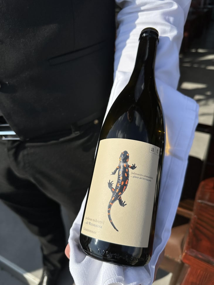Salamander - Morillon - Weingut Andreas & Elisabeth Tscheppe - Andreas & Elisabeth Tscheppe 