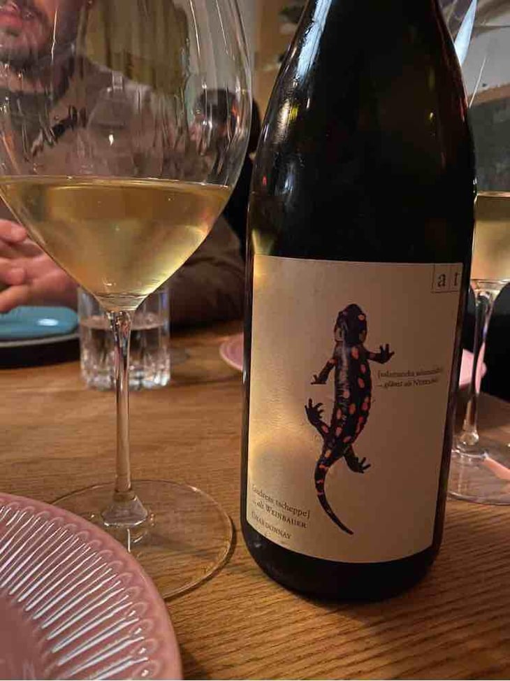 Salamander - Morillon - Weingut Andreas & Elisabeth Tscheppe - Andreas & Elisabeth Tscheppe 