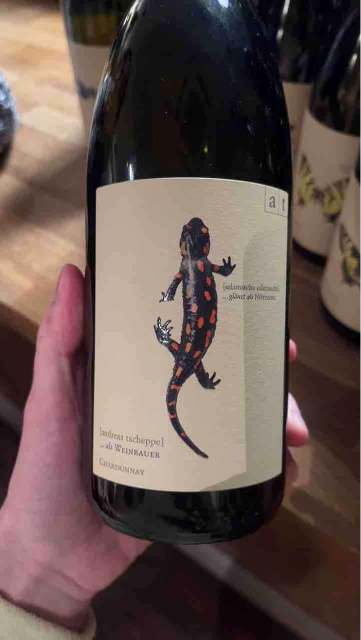 Salamander - Morillon - Weingut Andreas & Elisabeth Tscheppe - Andreas & Elisabeth Tscheppe 