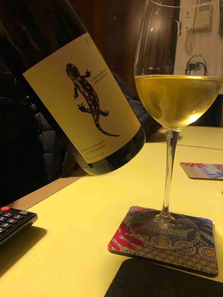 Salamander - Morillon - Weingut Andreas & Elisabeth Tscheppe - Andreas & Elisabeth Tscheppe 