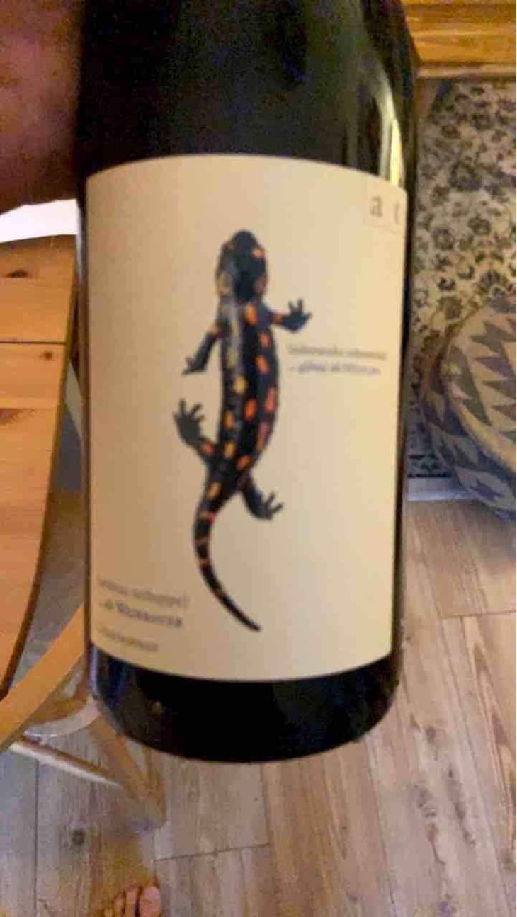 Salamander - Morillon - Weingut Andreas & Elisabeth Tscheppe - Andreas & Elisabeth Tscheppe 