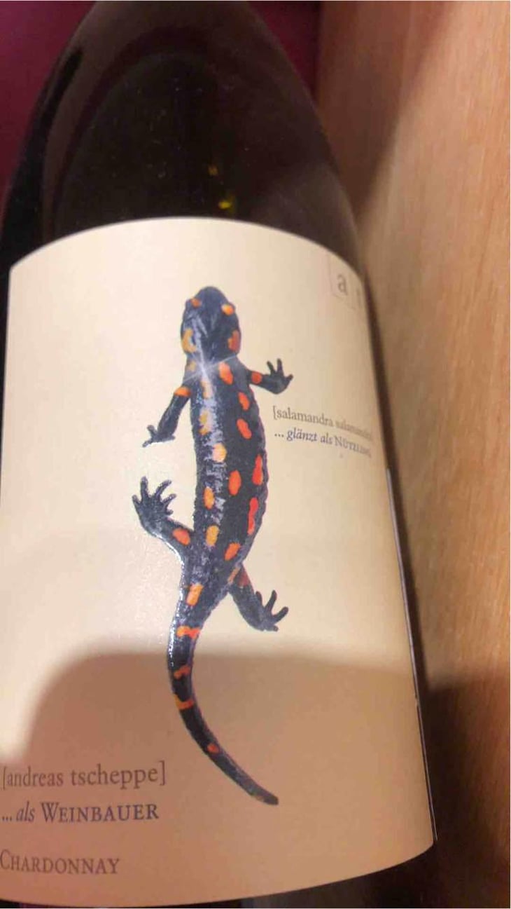 Salamander - Morillon - Weingut Andreas & Elisabeth Tscheppe - Andreas & Elisabeth Tscheppe 