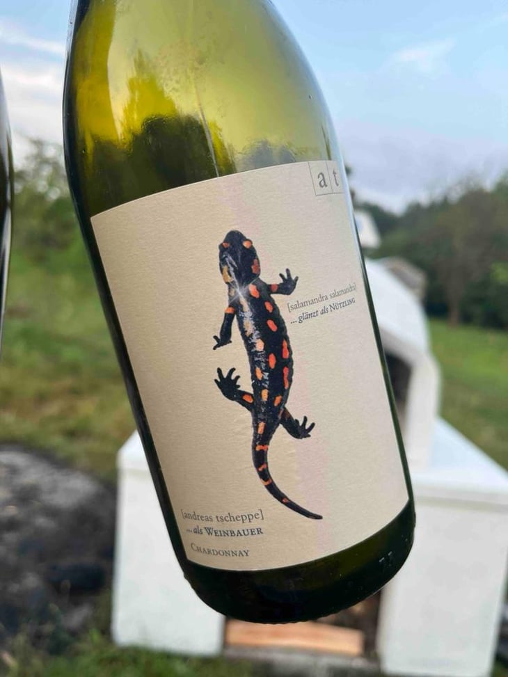 Salamander - Morillon - Weingut Andreas & Elisabeth Tscheppe - Andreas & Elisabeth Tscheppe 