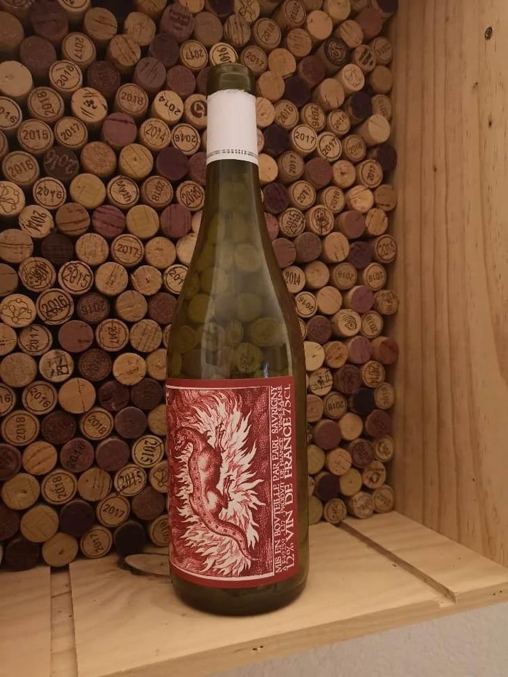 Salamandre - Domaine Saurigny - Jérôme Saurigny 