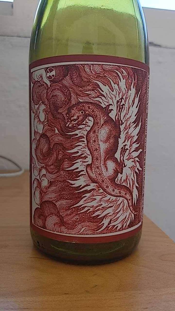 Salamandre - Domaine Saurigny - Jérôme Saurigny 