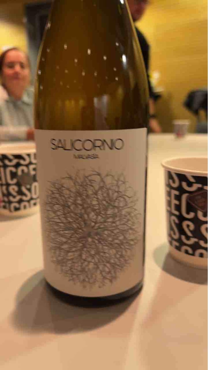 Salicornio Malvasia - Finca Casa Balaguer - Marta Ribera & Andres Carull 