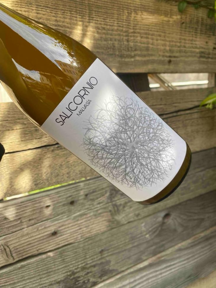 Salicornio Malvasia - Finca Casa Balaguer - Marta Ribera & Andres Carull 