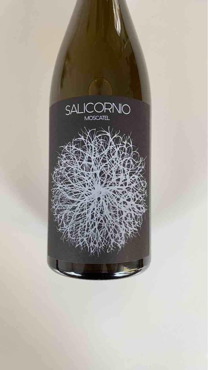 Salicornio Moscatel - Finca Casa Balaguer - Marta Ribera & Andres Carull 