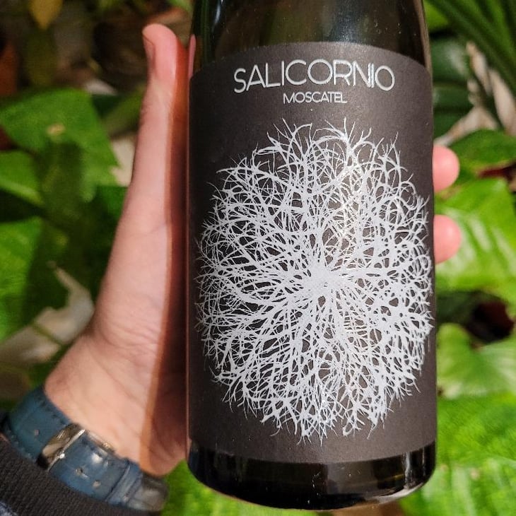 Salicornio Moscatel - Finca Casa Balaguer - Marta Ribera & Andres Carull 