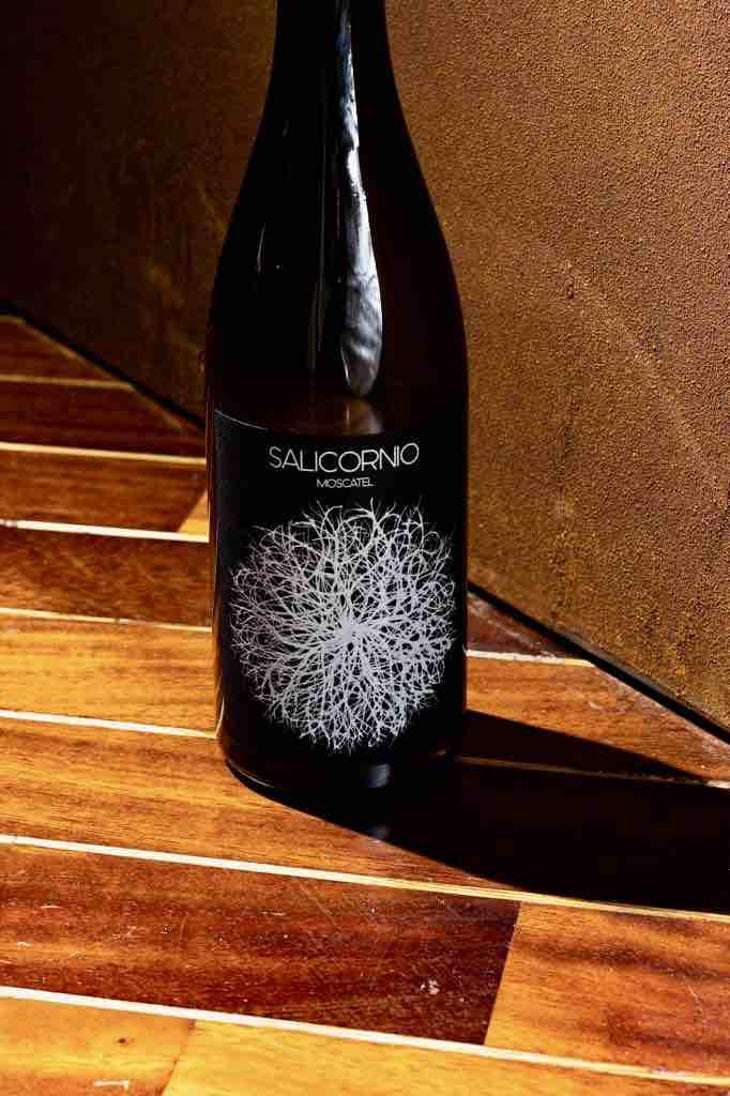 Salicornio Moscatel - Finca Casa Balaguer - Marta Ribera & Andres Carull 