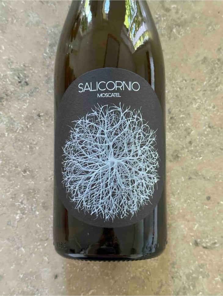 Salicornio Moscatel - Finca Casa Balaguer - Marta Ribera & Andres Carull 