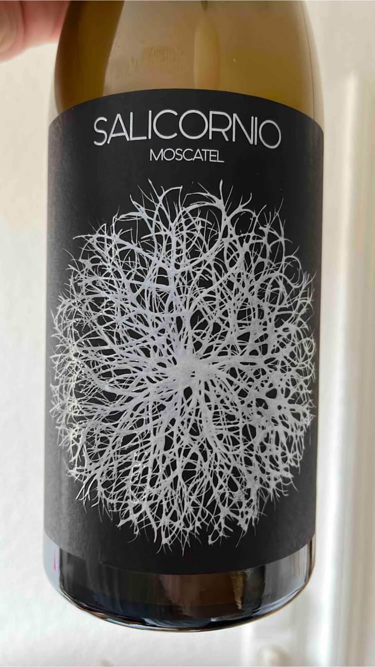 Salicornio Moscatel - Finca Casa Balaguer - Marta Ribera & Andres Carull 