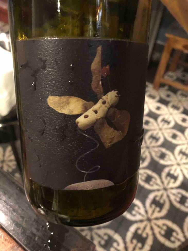 Salinar - Vinyes Singulars - Ignasi Segui 