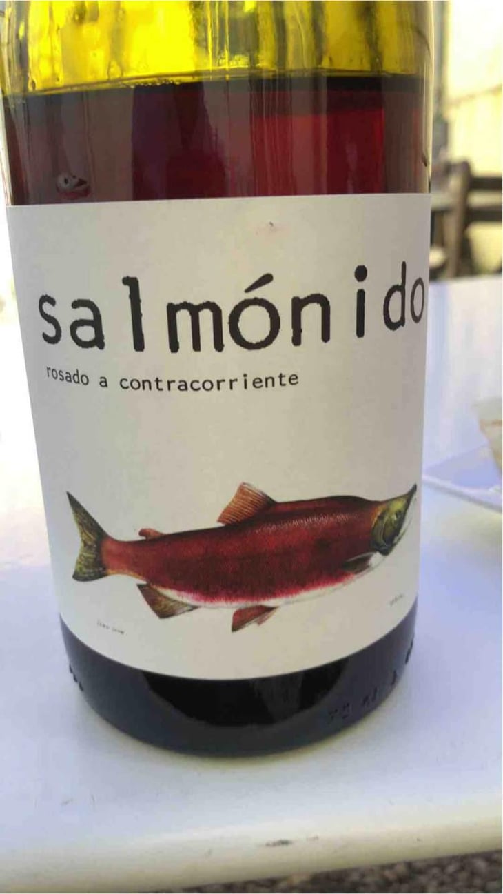 Salmónido - Barranco Oscuro - Manuel & Lorenzo Valenzuela 