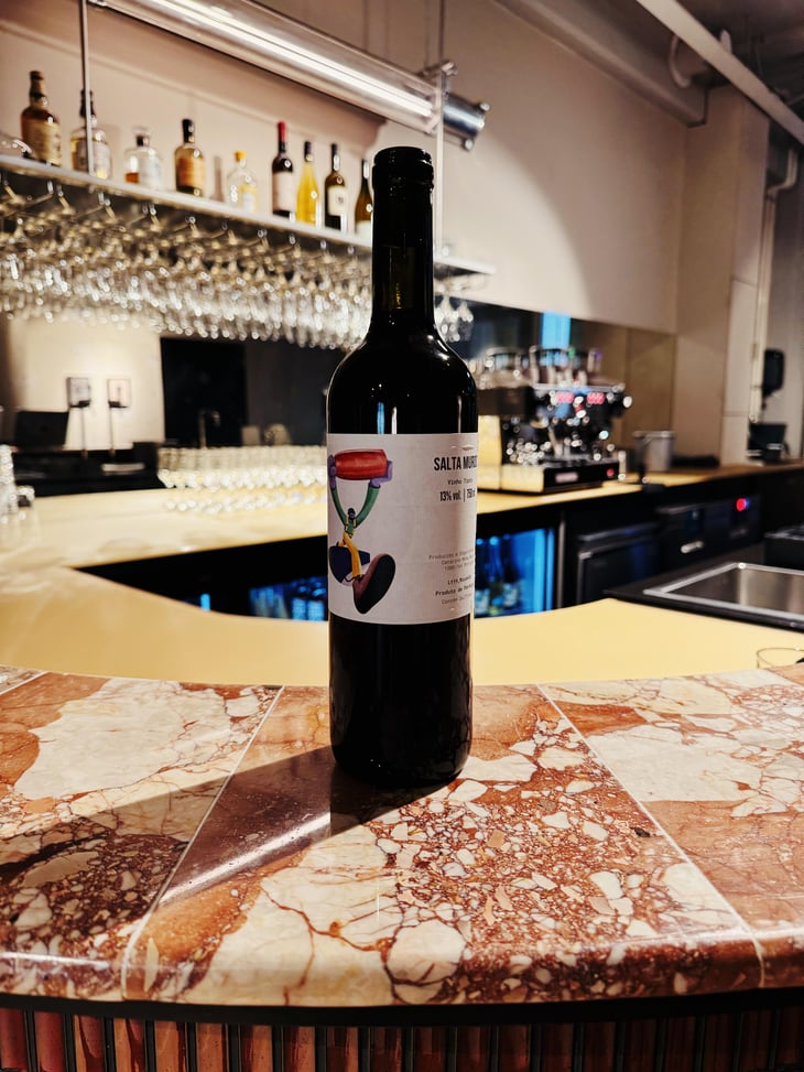 Salta Muros - Salta Muros - Catarina e o David -2019