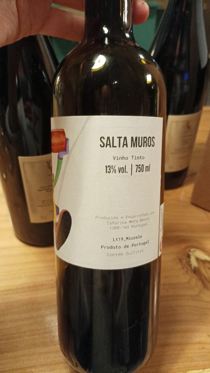 Salta Muros - Salta Muros - Catarina e o David -2019