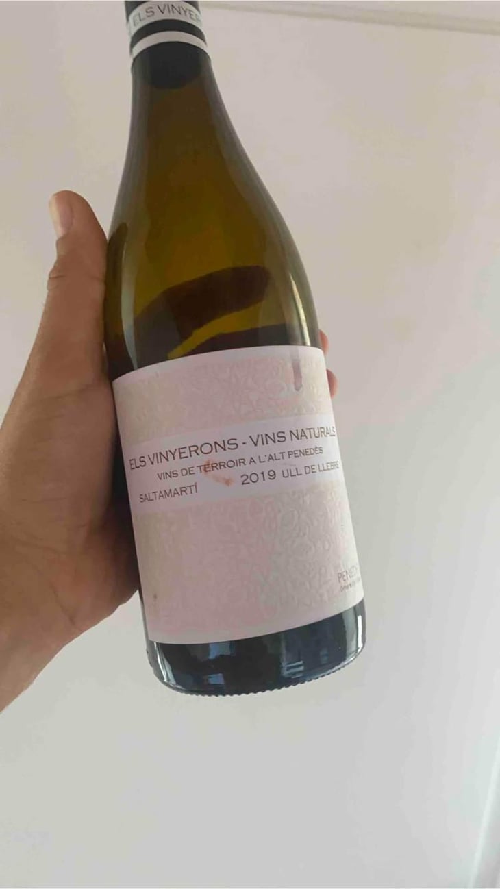 Saltamartí (Ull de Llebre, Garnatxa) - Els Vinyerons / Sin Project - Amós Bañeres Merinero & Alex Ruiz Masachs 