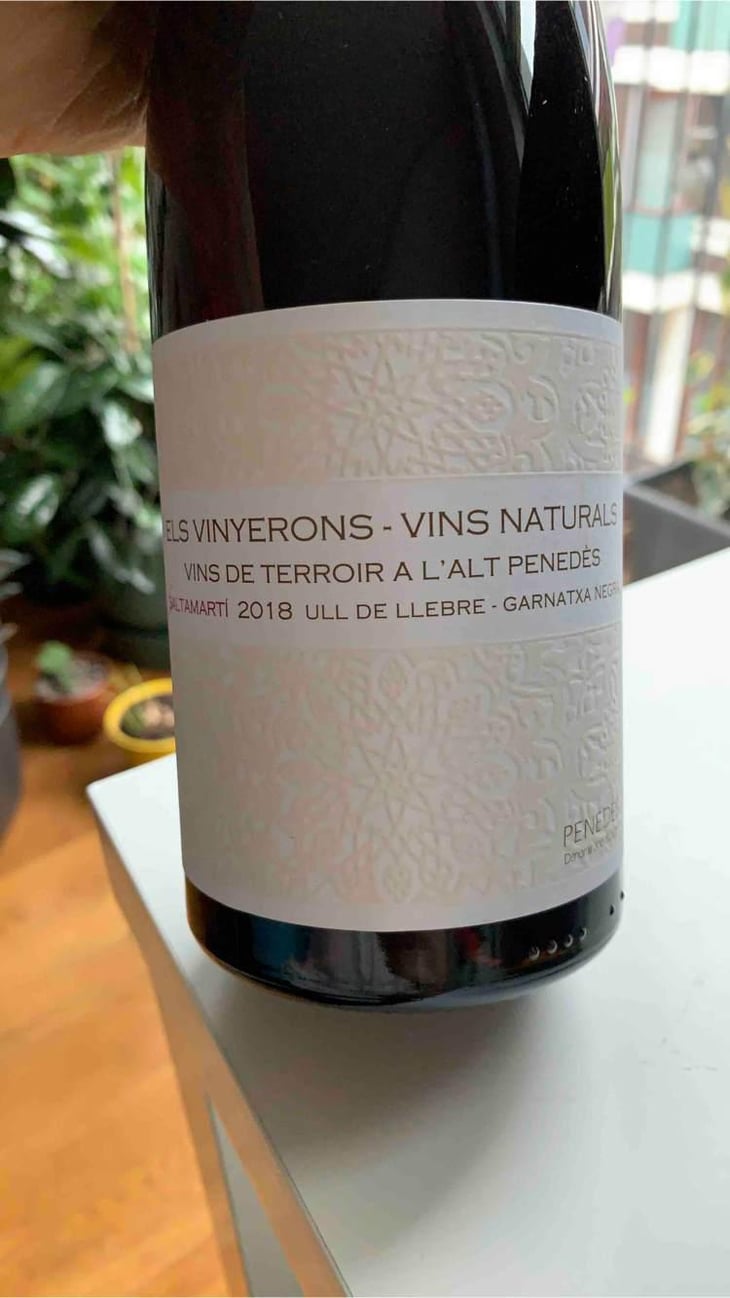 Saltamartí (Ull de Llebre, Garnatxa) - Els Vinyerons / Sin Project - Amós Bañeres Merinero & Alex Ruiz Masachs 