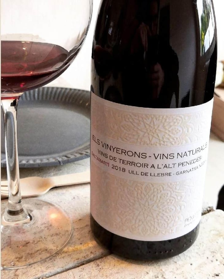 Saltamartí (Ull de Llebre, Garnatxa) - Els Vinyerons / Sin Project - Amós Bañeres Merinero & Alex Ruiz Masachs 