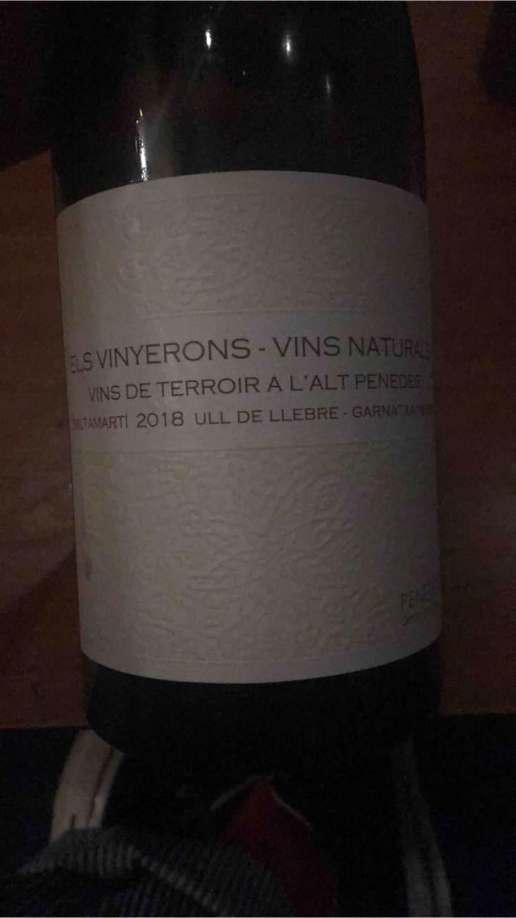 Saltamartí (Ull de Llebre, Garnatxa) - Els Vinyerons / Sin Project - Amós Bañeres Merinero & Alex Ruiz Masachs 