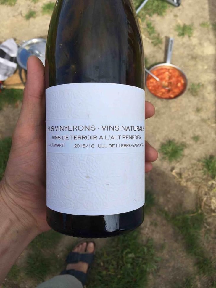 Saltamartí (Ull de Llebre, Garnatxa) - Els Vinyerons / Sin Project - Amós Bañeres Merinero & Alex Ruiz Masachs 