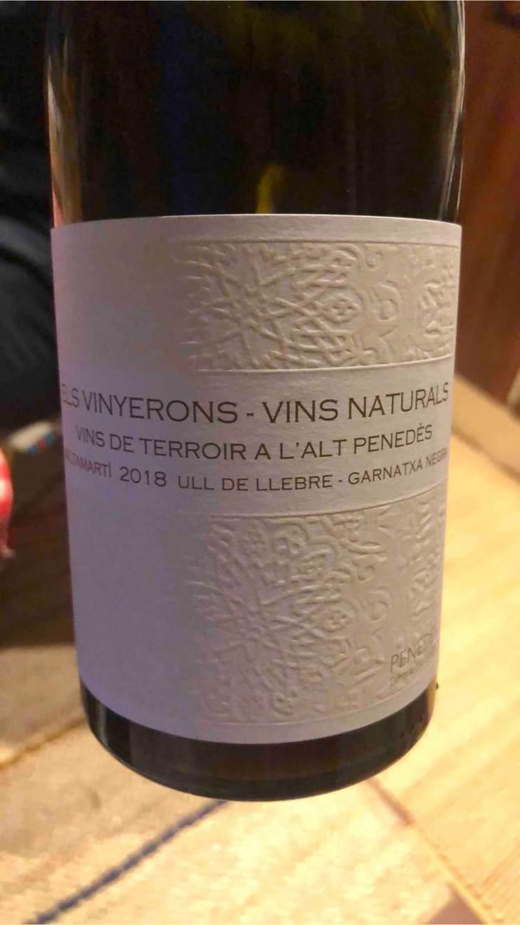 Saltamartí (Ull de Llebre, Garnatxa) - Els Vinyerons / Sin Project - Amós Bañeres Merinero & Alex Ruiz Masachs 