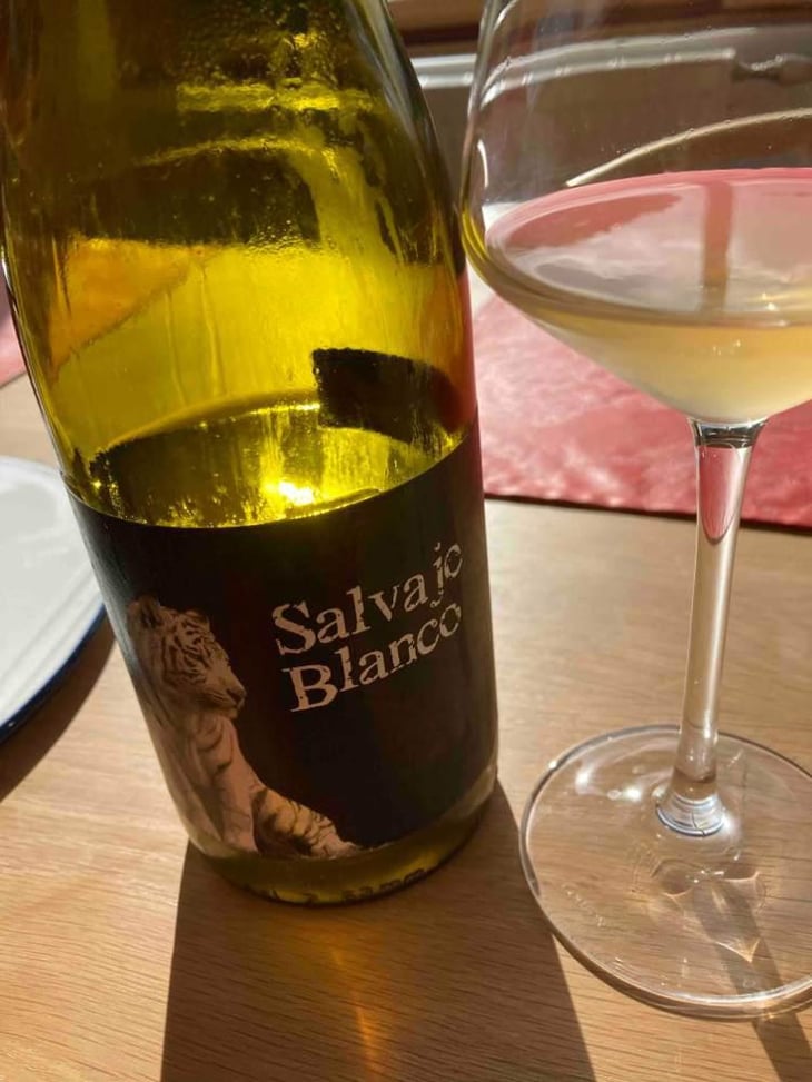 Salvaje Blanco - Barranco Oscuro - Manuel & Lorenzo Valenzuela 