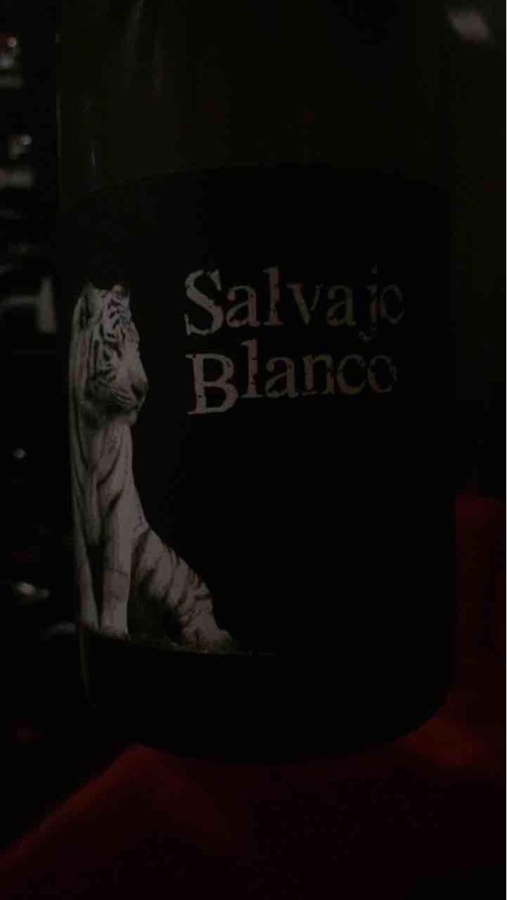 Salvaje Blanco - Barranco Oscuro - Manuel & Lorenzo Valenzuela 