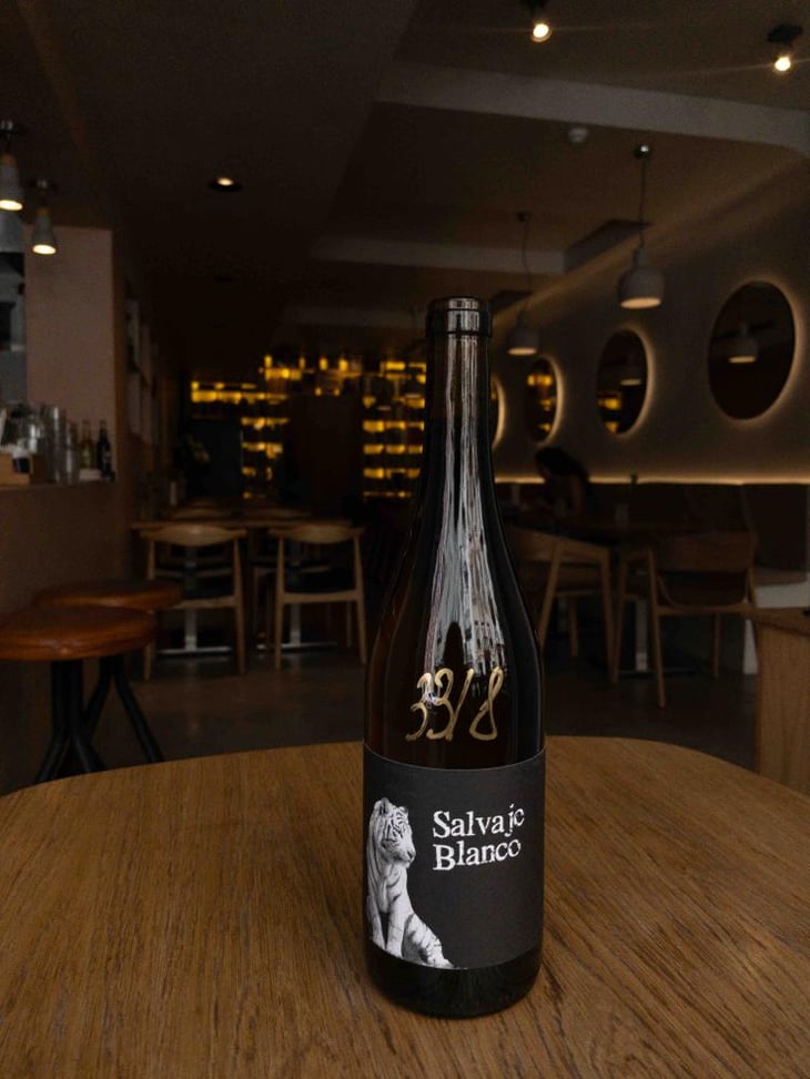 Salvaje Blanco - Barranco Oscuro - Manuel & Lorenzo Valenzuela 